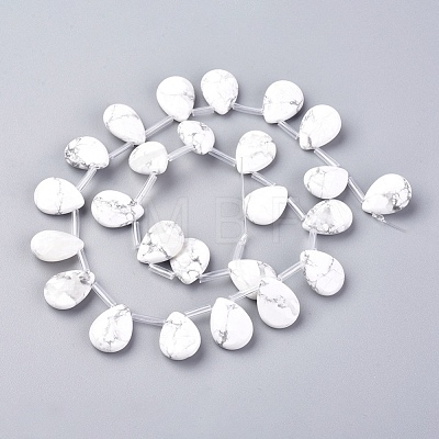 Synthetic Howlite Beads Strands G-G822-01A-1