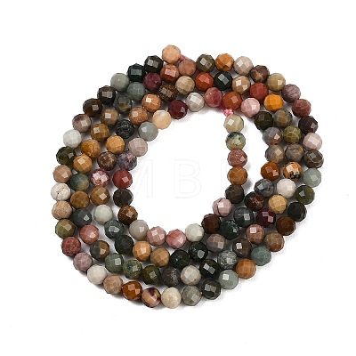 Natural Alashan Agate Beads Strands G-C181-B05-02-01-1