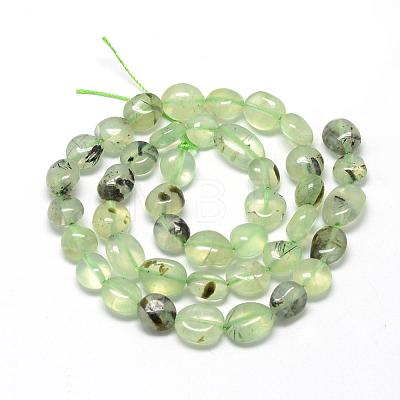 Natural Prehnite Beads Strands G-R445-8x10-25-1