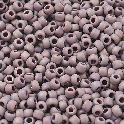 TOHO 6/0 Round Beads SEED-XTR06-0412F-1