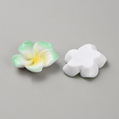 Two Tone Resin Cabochons LS-RESI-WH20010-01B-1