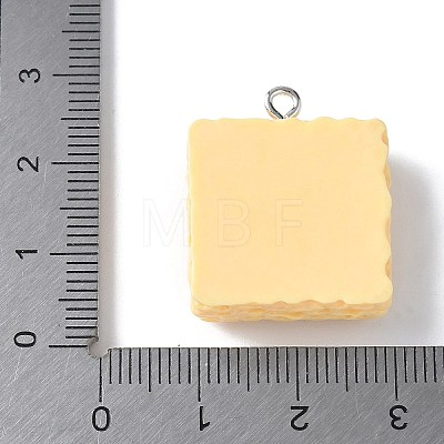 Opaque Resin Pendants RESI-Z033-02P-D-1