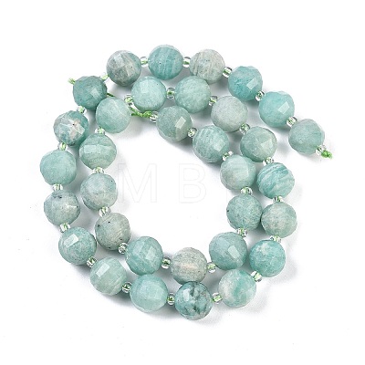 Natural Amazonite Beads Strands G-G182-B17-05-1