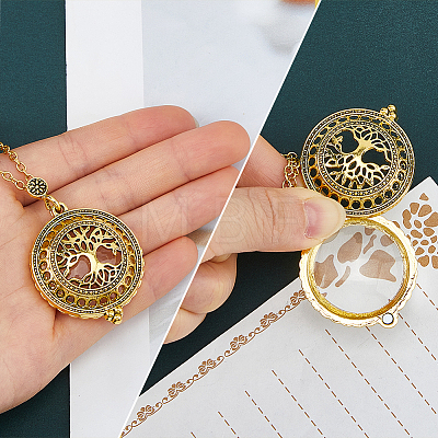 1Pc Magnifying Glass Magnetic Locket Pendant Necklaces for Women TOOL-FH0001-86-1