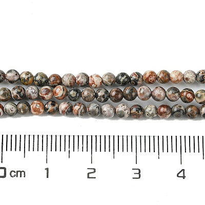 Natural Leopard Skin Jasper Beads Strands G-K365-C01-01-1