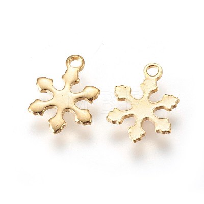 304 Stainless Steel Charms STAS-E447-10G-1
