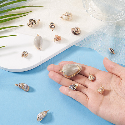 14Pcs 7 Styles Electroplated Natural Mixed Shell Pendants BSHE-TA0001-34A-1