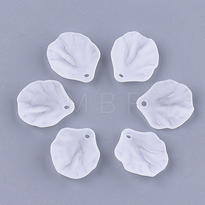 Transparent Acrylic Pendants FACR-T001-13-1