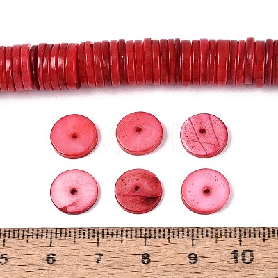 Natural Freshwater Shell Beads Strands SHEL-N037-03A-04-1