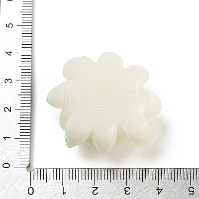 Two Tone Opaque Resin Decoden Cabochons RESI-K042-01F-1