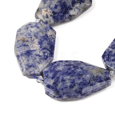 Natural Blue Spot Jasper Beads Strands G-P548-B10-01-1