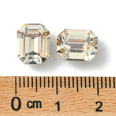 Preciosa® MAXIMA Crystal Fancy Stones X-PRC-FD10-00030-235-1