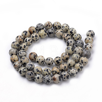 Natural Dalmatian Jasper Beads Strands G-S259-24-12mm-1