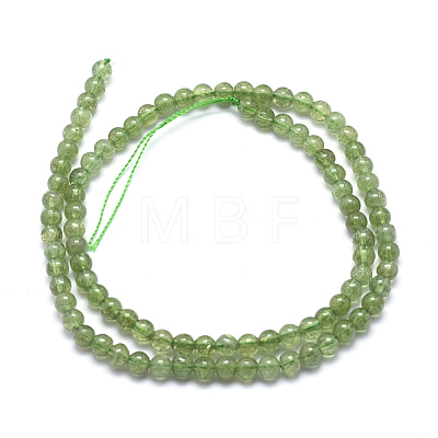 Natural Green Apatite Beads Strands G-K224-08-4mm-1