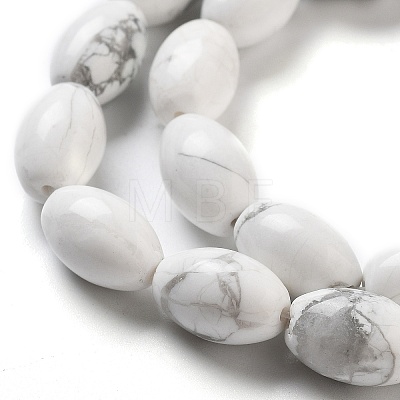 Natural Howlite Beads Strands G-B106-B25-01-1