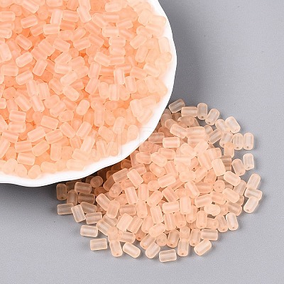 FGB Frosted Transparent Glass Seed Beads X-SEED-N013-05A-03-1