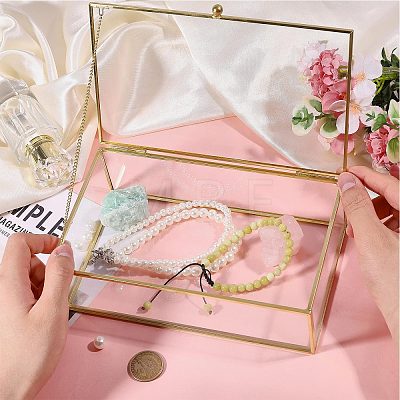 Transparent Glass Jewelry Organizer Display Cases with Metal Frame AJEW-WH0410-465A-1-1