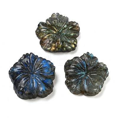 Natural Labradorite Carved Cabochons G-C152-06-1