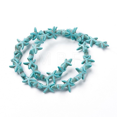 Synthetic Turquoise Beads Strands X-TURQ-L029-03A-1