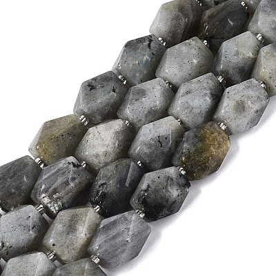 Natural Labradorite Beads Strands G-Q608-11E-1