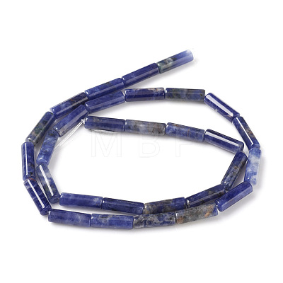 Natural Sodalite Beads Strands X-G-F247-30-1