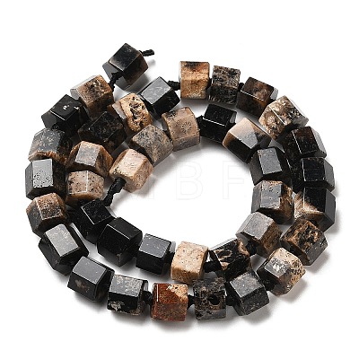 Natural Fossil Coral Beads Strands G-Q1003-03A-1