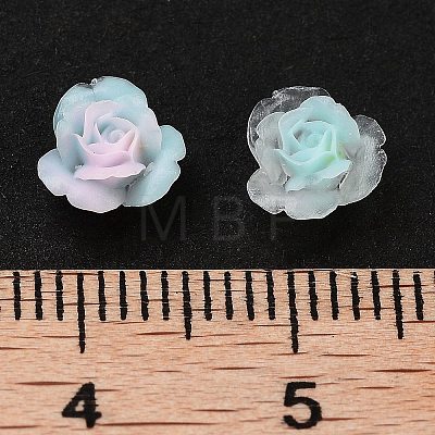 Luminous Resin Decoden Cabochons RESI-K036-52-1