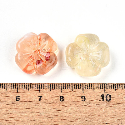 Transparent Acrylic Beads TACR-T028-40E-1