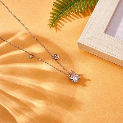 925 Sterling Silver Zircon Pendant Necklace 12 Constellation Pendant Necklace Jewelry Anniversary Birthday Gifts for Women Men JN1088J-1