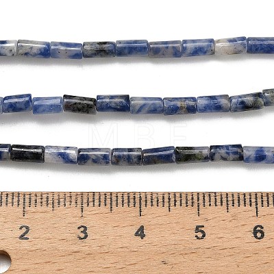 Natural Blue Spot Jasper Beads Strands G-P600-B05-01-1