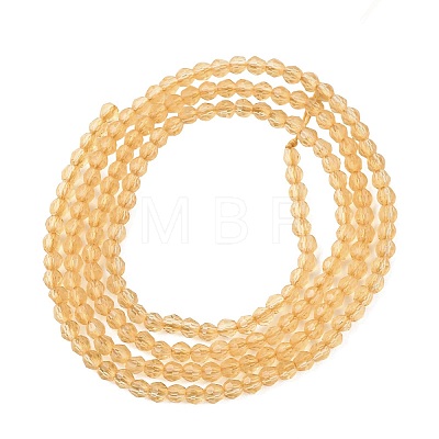 Transparent Glass Beads Strands GLAA-F094-A10-1