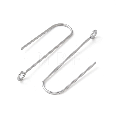 316 Surgical Stainless Steel Earring Hooks STAS-Z124-02D-P-1