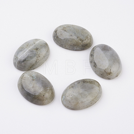 Natural Labradorite Flat Back Cabochons X-G-G741-18x25mm-18-1