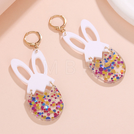 Acrylic Hoop Earrings FS-WG346C1-01-1