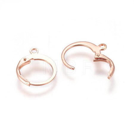 304 Stainless Steel Leverback Earring Findings STAS-E460-02RG-1