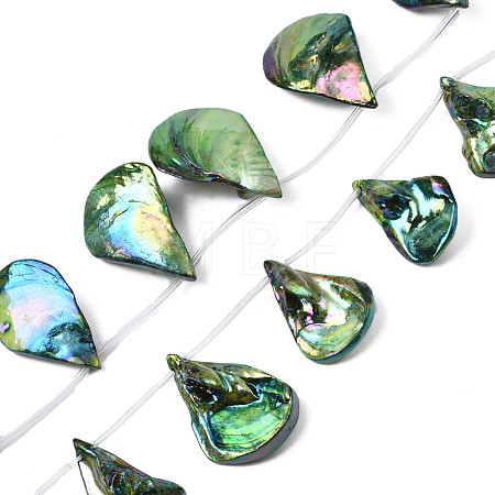 Electroplated Natural Freshwater Shell Beads SHEL-N026-196-1