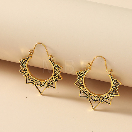 Alloy Hoop Earrings FS-WG0F541-01-1