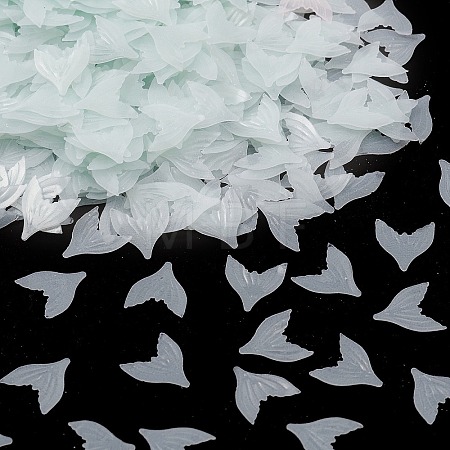 Plastic Sequin Beads PVC-R024-12A-1