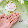 50Pcs Brass Earring Settings KK-TA0008-38C-6