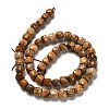 Natural Picture Jasper Beads Strands G-H078-C14-01-3