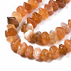 Natural Botswana Agate Beads Strands G-S376-006-3