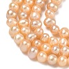 Natural Cultured Freshwater Pearl Beads Strands PEAR-L034-02-4