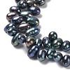 Natural Cultured Freshwater Pearl Beads Strands PEAR-J007-87-3