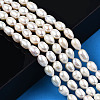 Natural Cultured Freshwater Pearl Beads Strands PEAR-N012-06G-6