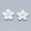 Freshwater Shell Beads X-SHEL-S275-033-2