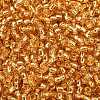 TOHO 8/0 Round Beads SEED-XTR08-0022B-2