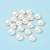 Shell Pearl Half Drilled Beads X-BSHE-G011-01-12mm-2