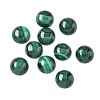 Natural Malachite Cabochons G-S398-01A-02-1