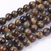 Natural Tiger Eye Round Bead Strands G-R200-10mm-1