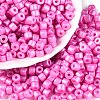 Baking Paint Pearlized Glass Seed Beads SEED-T008-03K-1